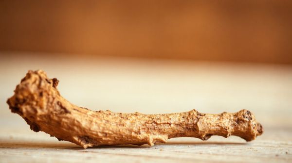 Top 5 raisons pour lesquelles les athlètes choisissent la berbérine
